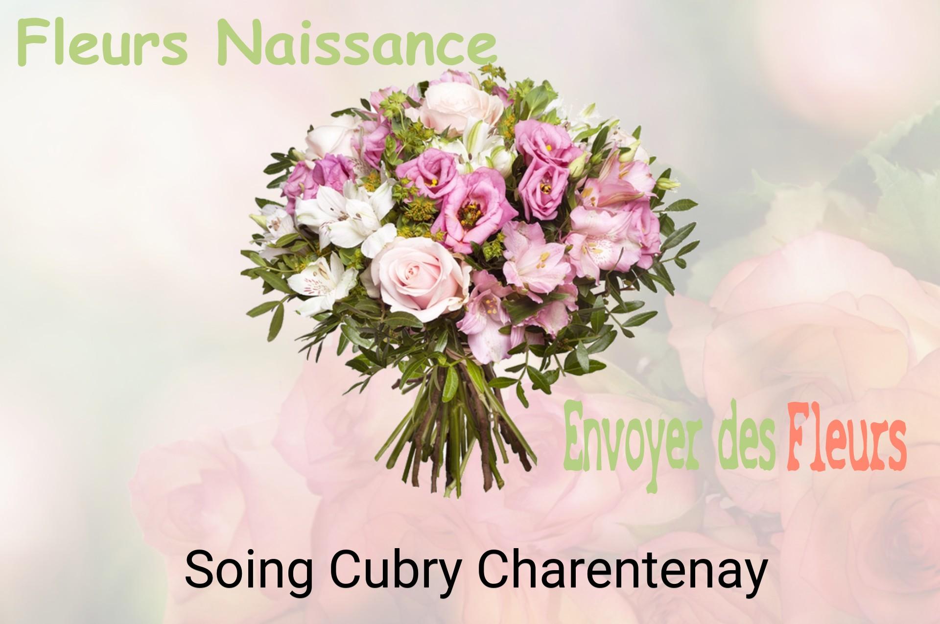 Bouquet de fleurs de naissance livré à Soing-Cubry-Charentenay